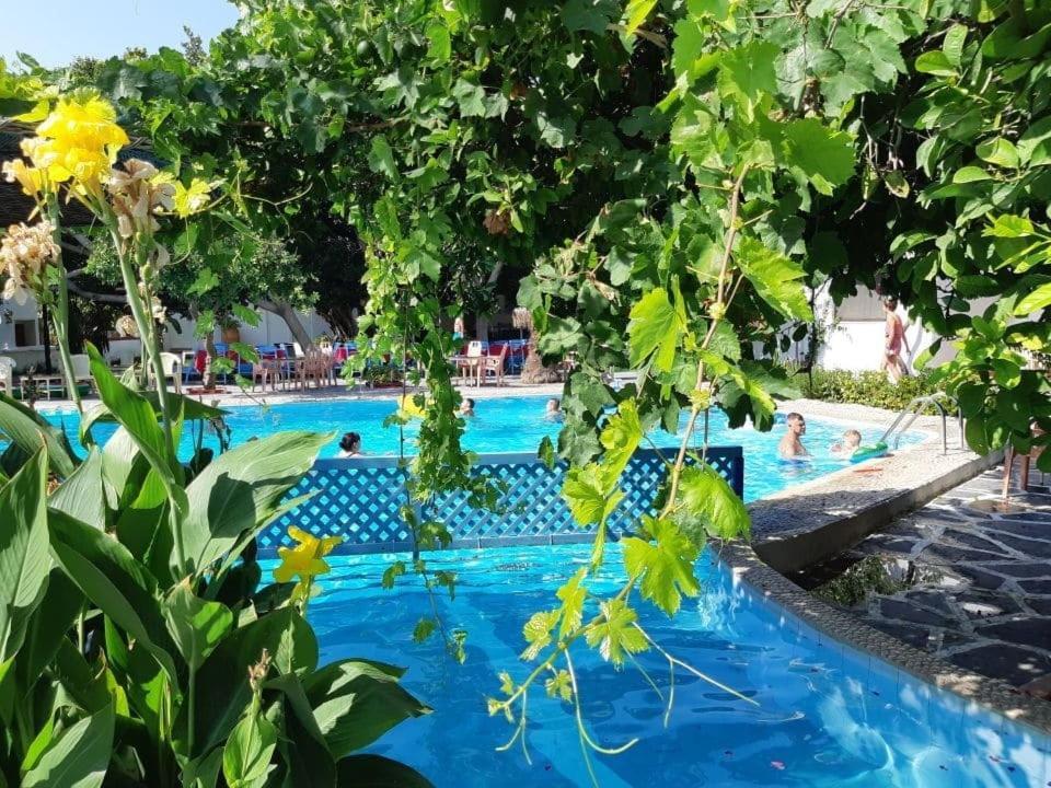 Oasis Hotel Bungalows Rhodes Afantou Bagian luar foto