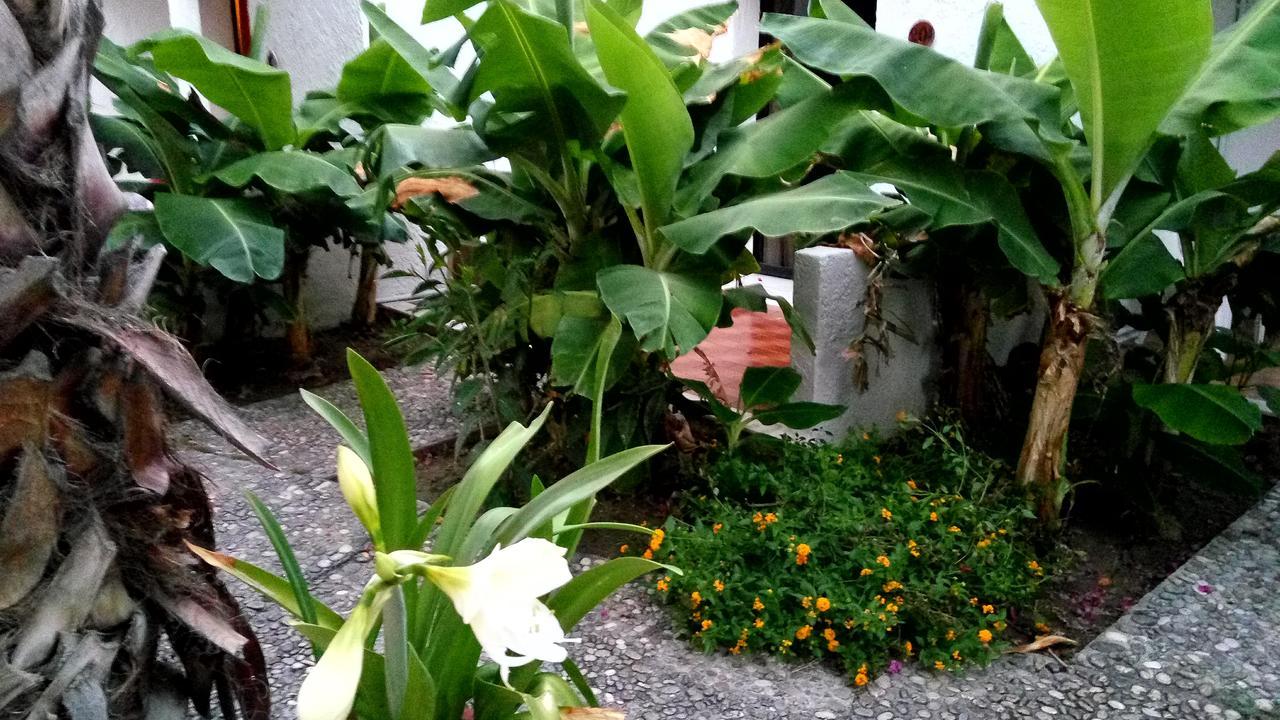 Oasis Hotel Bungalows Rhodes Afantou Bagian luar foto