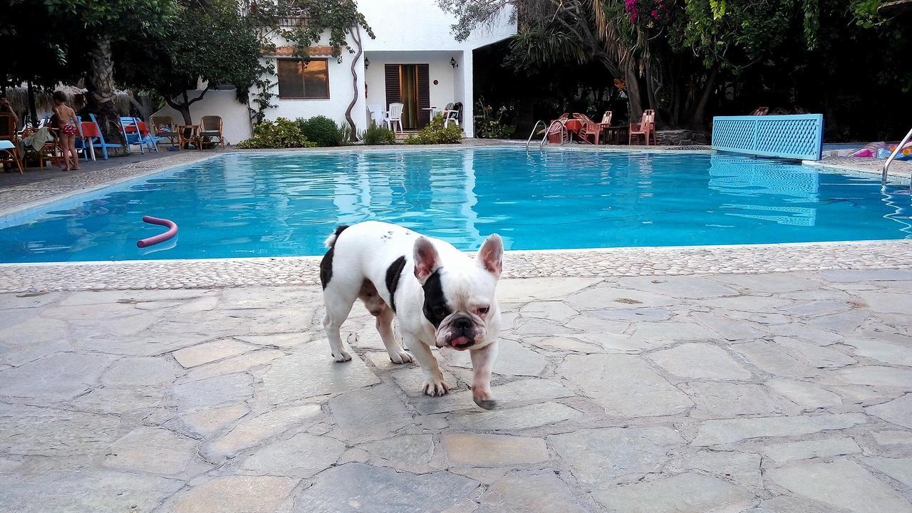 Oasis Hotel Bungalows Rhodes Afantou Bagian luar foto